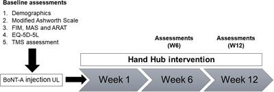 Intracortical Circuits in the Contralesional Primary Motor Cortex in Patients With Chronic Stroke After Botulinum Toxin Type A Injection: Case Studies